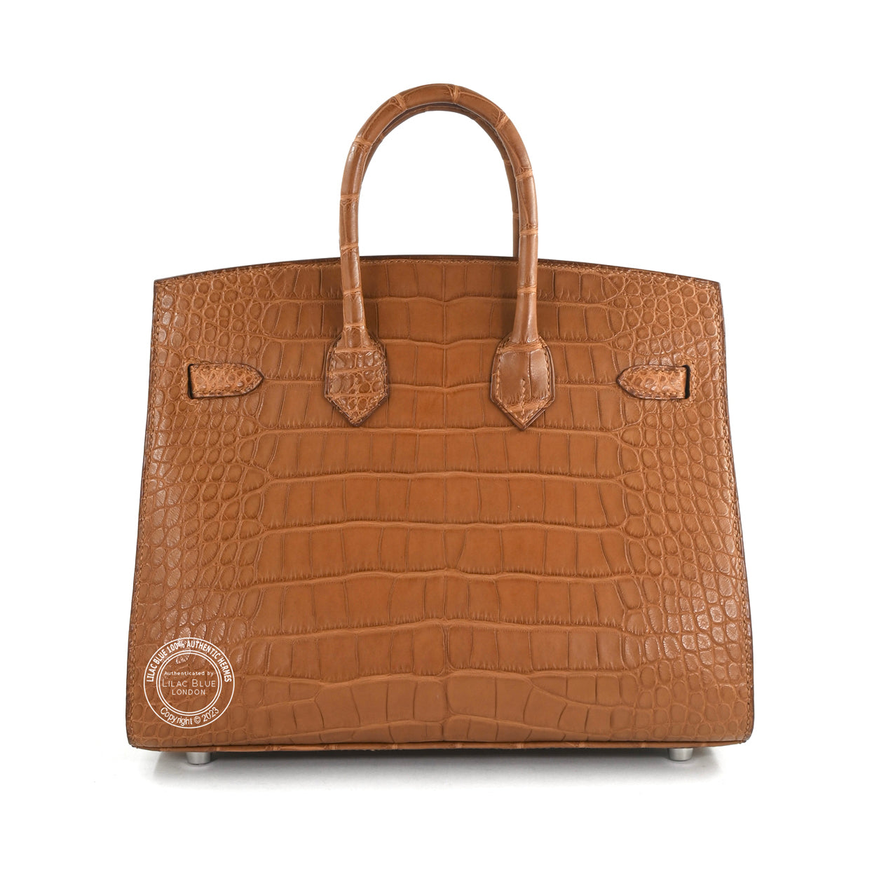 25cm Gold Birkin Sellier in Matte Alligator with Palladium hardware back