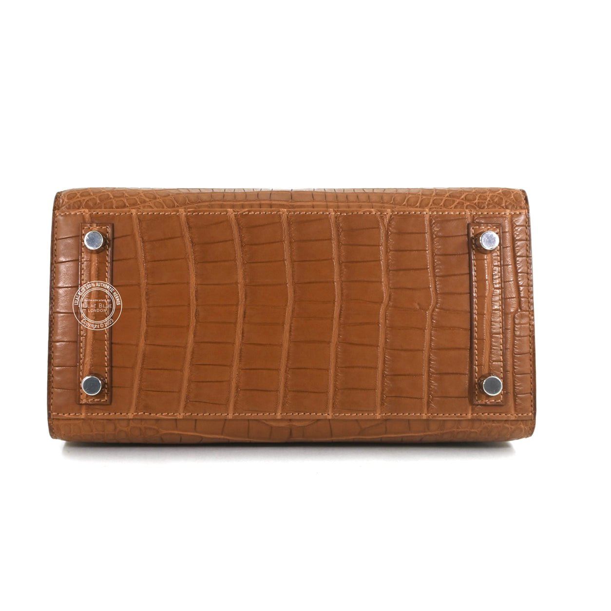 25cm Gold Birkin Sellier in Matte Alligator with Palladium hardware back