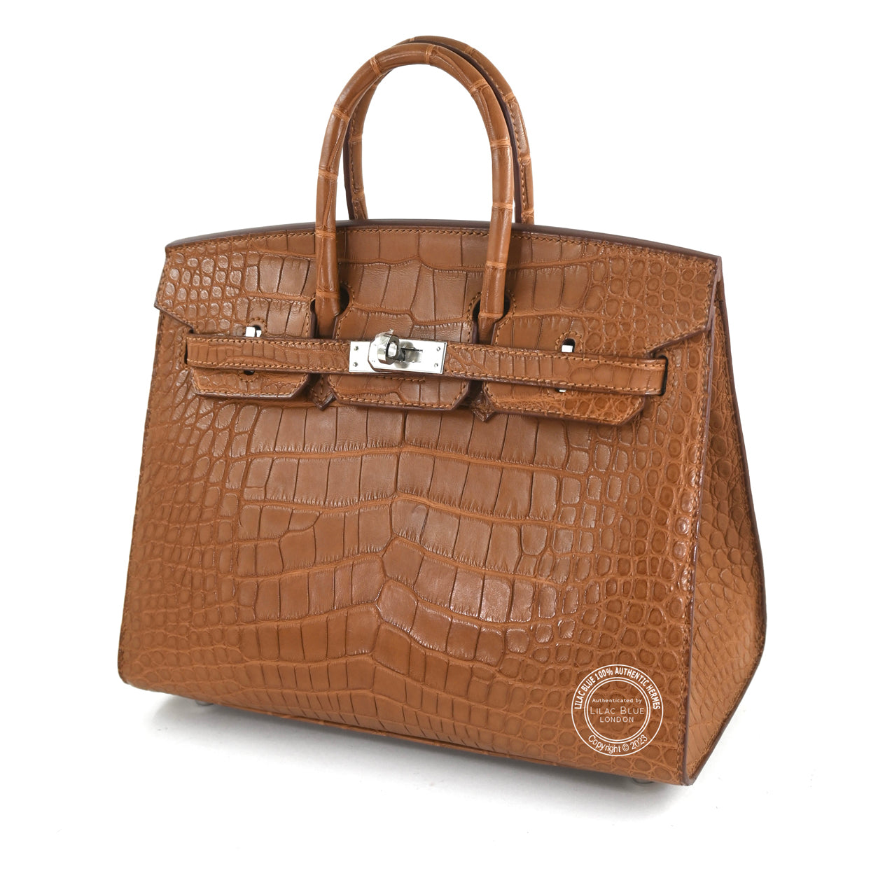 25cm Gold Birkin Sellier in Matte Alligator with Palladium hardware back