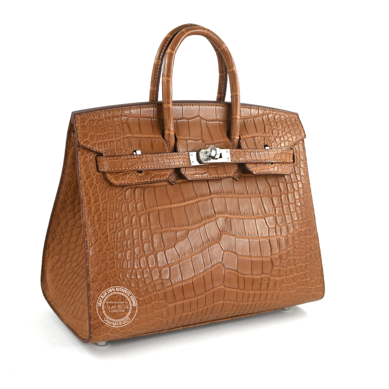 25cm Gold Birkin Sellier in Matte Alligator with Palladium hardware back
